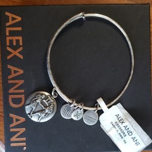 Alex and Ani Gemini bracelet